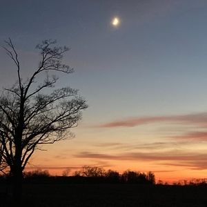 Meet your Posher, Jerry